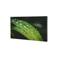 dhi-ls550kdh-uf-500x500