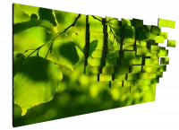 Картинка с сайта Картинка с сайта