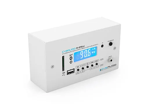 CVGAUDIO R-25W CVGAUDIO R-25W