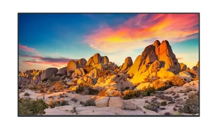 v8_666_31e v8_666_31e