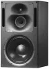 Genelec 1238APM