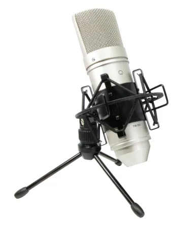 Купить Tascam TM-80 по выгодной цене в Краснодаре