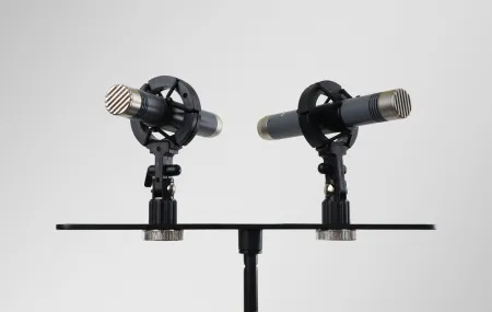 Купить AuraSonics AP22-MP по выгодной цене в Краснодаре