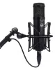 Купить WARM AUDIO WA-47jr по выгодной цене в Краснодаре