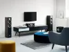 Купить DALI GRILLE SPEKTOR 6 BLACK по выгодной цене в Краснодаре