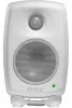 Купить Genelec 8010AW по выгодной цене в Краснодаре
