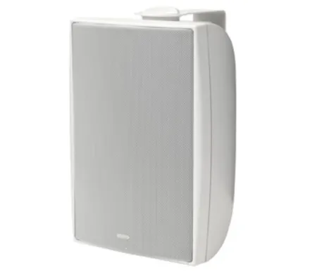 Купить TANNOY DVS 6 по выгодной цене в Краснодаре