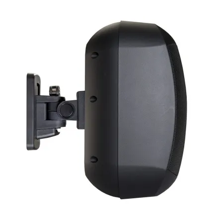 Купить BIAMP MASK6CT-BL по выгодной цене в Краснодаре
