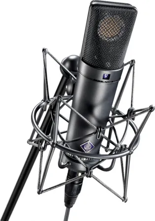 Купить NEUMANN U 89 i по выгодной цене в Краснодаре