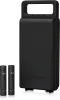 Купить BEHRINGER C-2 DARK EDITION по выгодной цене в Краснодаре