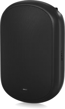 Купить Tannoy DVS 801 по выгодной цене в Краснодаре