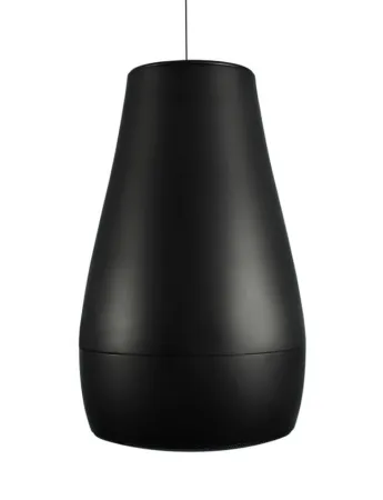 Купить BIAMP Desono P6 Black по выгодной цене в Краснодаре