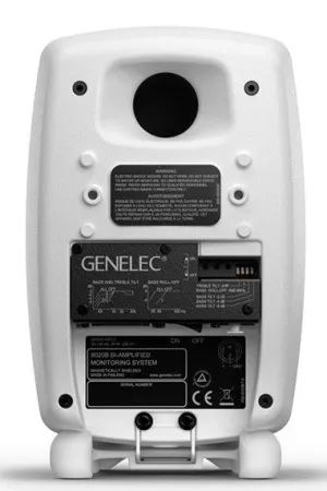 Купить Genelec 8020DWM по выгодной цене в Краснодаре