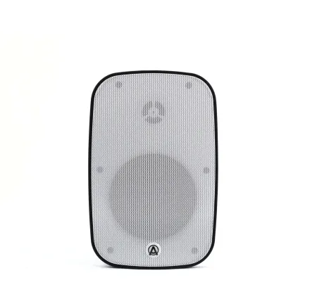 Купить AuraSonics DENSE-5T-WH по выгодной цене в Краснодаре