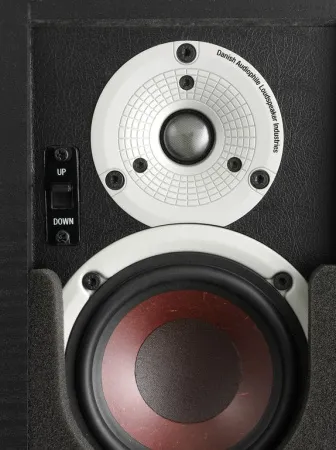 Купить DALI ALTECO C-1 [Black ASH] по выгодной цене в Краснодаре