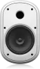 Купить Tannoy DVS 801-WH по выгодной цене в Краснодаре