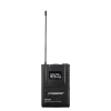 Купить Pasgao PAW-920 Rx_2x PBT-801 TxB по выгодной цене в Краснодаре