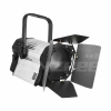 Купить ANZHEE PRO Spectrum Fresnel W 300 по выгодной цене в Краснодаре