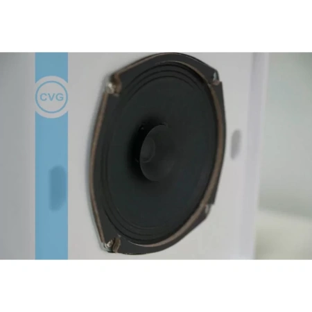 Купить CVGAUDIO WPS6T по выгодной цене в Краснодаре