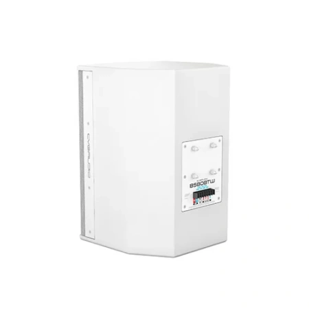 Купить CVGAUDIO BS808TW по выгодной цене в Краснодаре