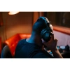 Купить Sennheiser HD 300 PROtect по выгодной цене в Краснодаре