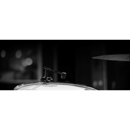 Купить BEYERDYNAMIC TG D58 по выгодной цене в Краснодаре