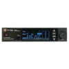 Купить DP Technology DP-200 INSTRUMENTAL по выгодной цене в Краснодаре