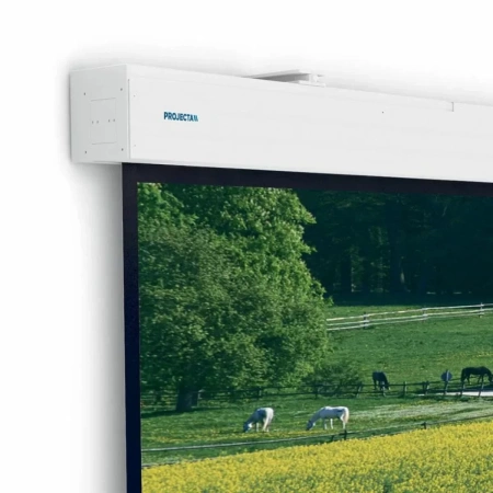 Купить Projecta Elpro Large Electrol 176 по выгодной цене в Краснодаре