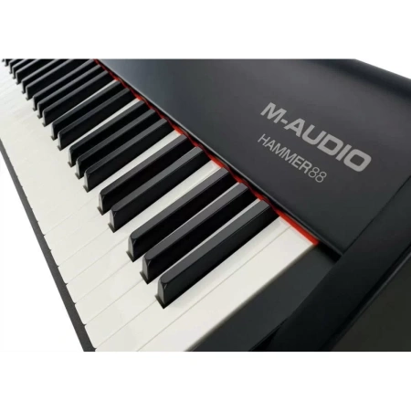 Купить M-audio Hammer 88 по выгодной цене в Краснодаре