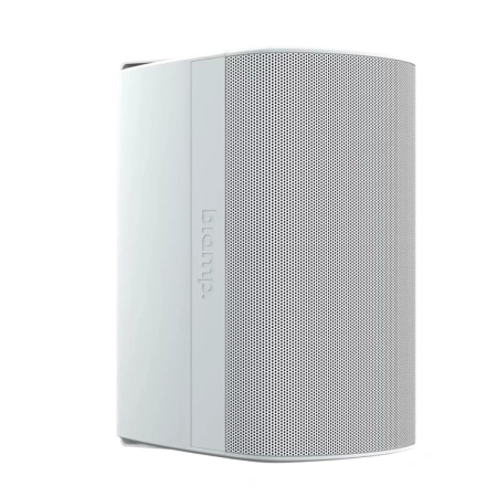 Купить Biamp Desono DX-S5-UB-W White по выгодной цене в Краснодаре