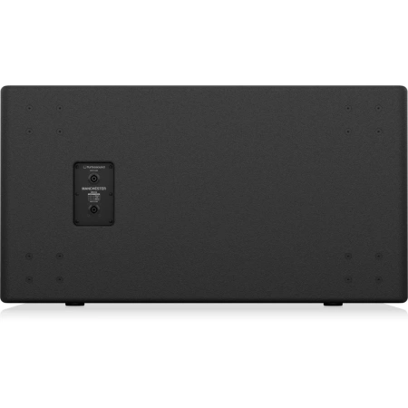 Купить TURBOSOUND MS218 по выгодной цене в Краснодаре