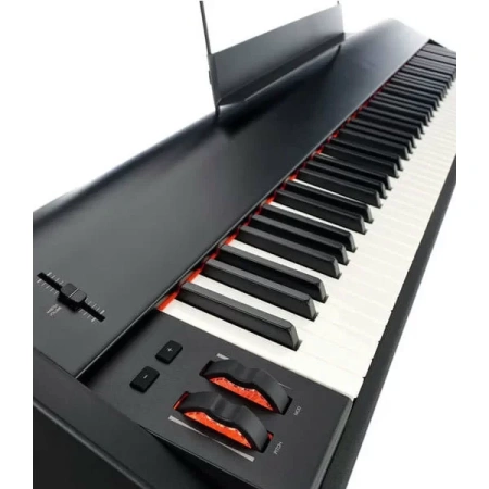 Купить M-audio Hammer 88 по выгодной цене в Краснодаре