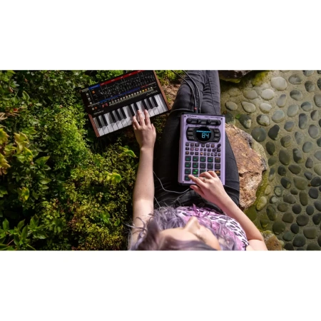 Купить ROLAND SP-404MKII по выгодной цене в Краснодаре