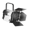 Купить ANZHEE PRO Spectrum Fresnel F 300 по выгодной цене в Краснодаре
