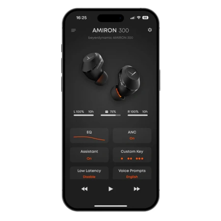 Купить Beyerdynamic Amiron 300 Black по выгодной цене в Краснодаре